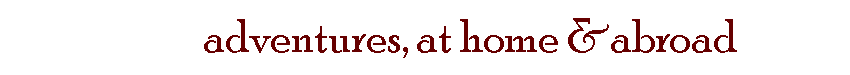 Travelbanner